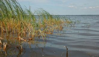 Поехал в конце зимы молодой князь в церк