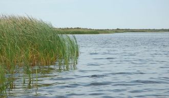 Сток происходит по каналам Озерному и Жи