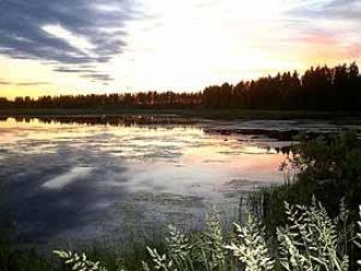 Это было началом побед над русскими войс