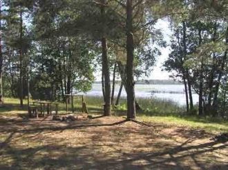 Общая площадь зарастания озера небольшая