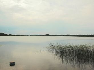 13 декабря  1579 г. полоцкий воевода Ива