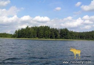 От меча и огня погибло около 2000 защитн