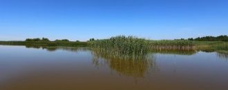 Расположено между деревнями Лисиничи, Хр