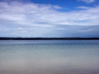 Несколько каналов и ручьев, впадающих в 