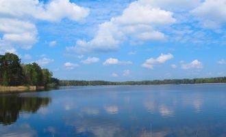 В нем обитают много видов рыбы: окунь, а