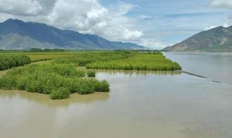 До прошлого века никто точно не знал все