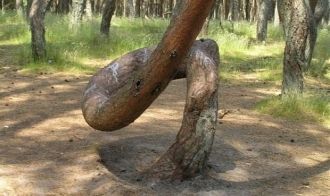 Как технически это могло происходить? Ве