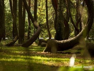 Въезд на эту территорию осуществляется т