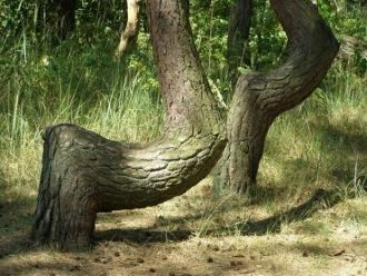 По официальной теории, в тридцатых годах