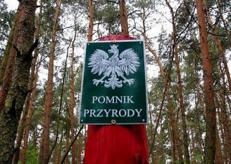 В народе верят, что для избавления от бо