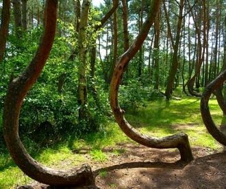 Согласно одной из версий, такую форму де