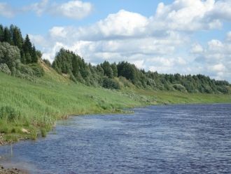 Северная Двина имеет множество притоков.