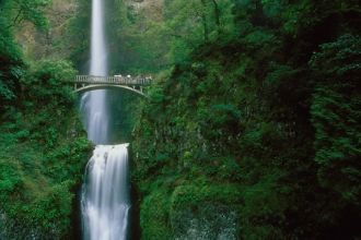 И нужно сильно потрудиться, чтобы суметь