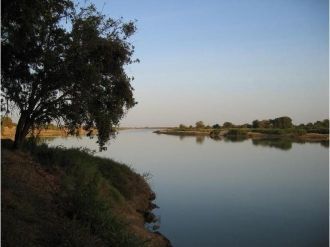 Исток реки Шари находится в месте слияни