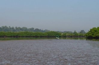 Извилистая река Гамбия, исток которой на