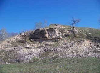 Песок и гравий с костными остатками свид