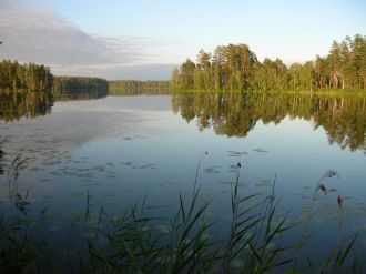 Озеро Кшара (Кщара) — озеро в Вязниковск