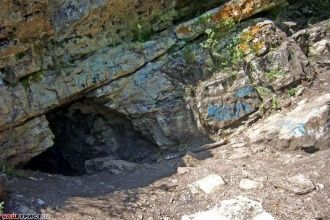 Возле пещеры обитают редкие животные и р