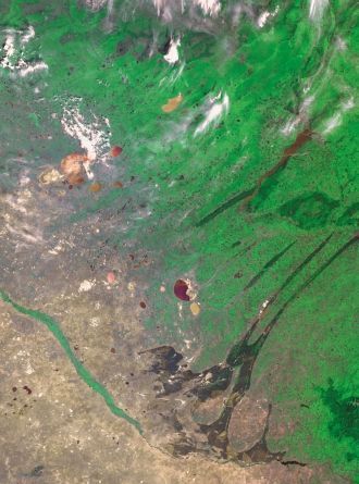 Фото из космоса Барабинская низменность.