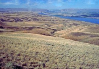 Справа на фото: Сухие прерии плато Колум