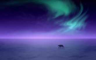 Полярная ночь начинается в Арктике в кон