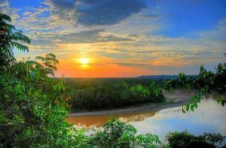 Амазонке и ее притоках водится более 200
