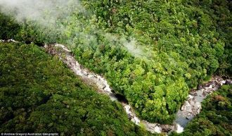 Женщины племени куку яланджи на Торнтон 