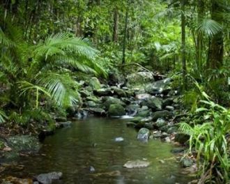 Основу национального парка Дейнтри соста