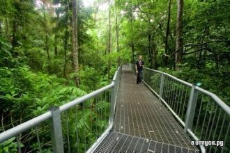 Национальный парк Дейнтри был основан в 