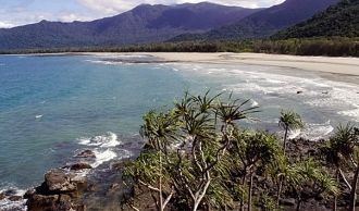 По мнению ученых, тропический лес в этом