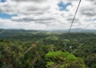 В чаще первобытного леса можно увидеть с