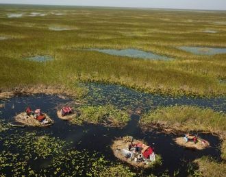Судд – огромное болото в Южном Судане