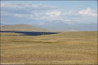 В Монголии наиболее разнообразной в ланд
