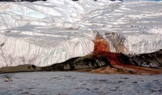В Антарктиде есть водопад с красной, как