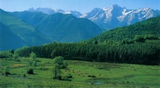 Пиренейские горы тянутся на 450 км вдоль