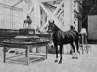 В мастерской Трубецкого.Лошадь император