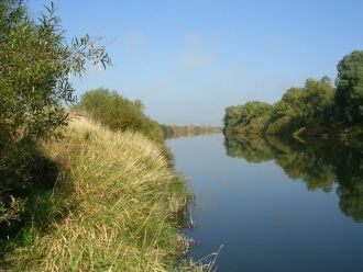 Река Проня, правый приток Оки, вытекает 