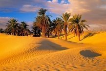 Топ-10 самых больших пустынь мира
